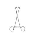 Clamps (Surgical Instruments)