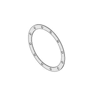 Gasket, Diaphragm Amsco/Steris Autoclave Part: 007753-091/AMG101