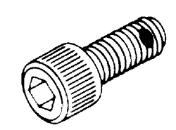 1/4-28 socket head cap screw w/ nylon pellet for amsco/steri