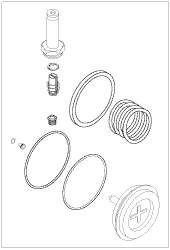 Valve Repair Kit For 1â€ Piston Valves - AMK087